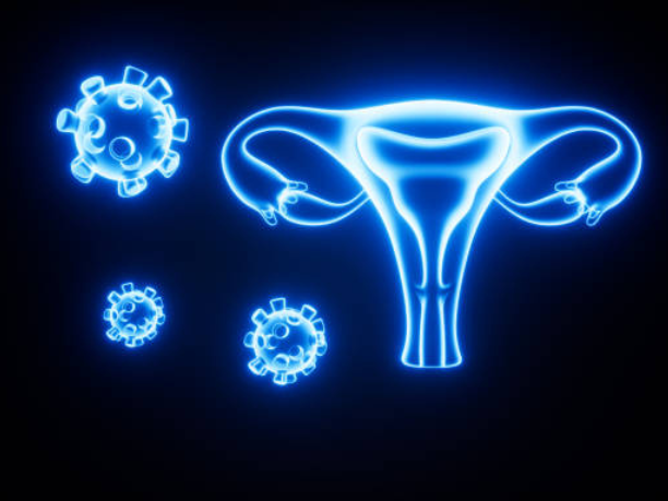 Sexology
