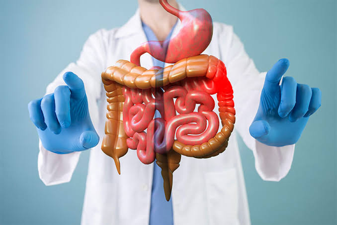Internal Medicine
